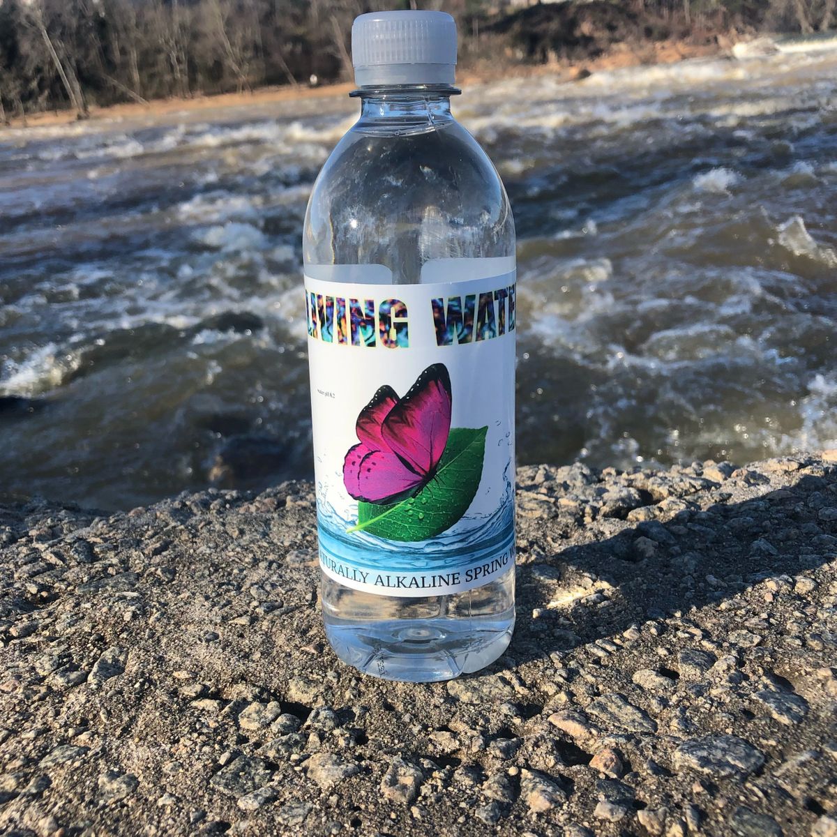 Alkaline Water (Premium)