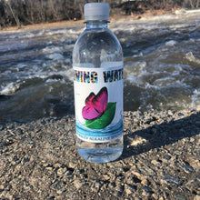 Load image into Gallery viewer, Alkaline Water (Premium)
